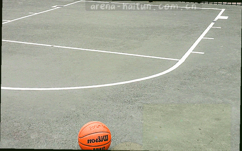 抽象的海豚剪影与赛道弧线合成